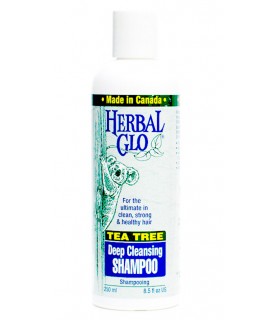 Herbal Glo 허발 글로 티트리 클렌징 샴푸 250ml | 매일 업데이트되는 특가 상품 | VITASHOP