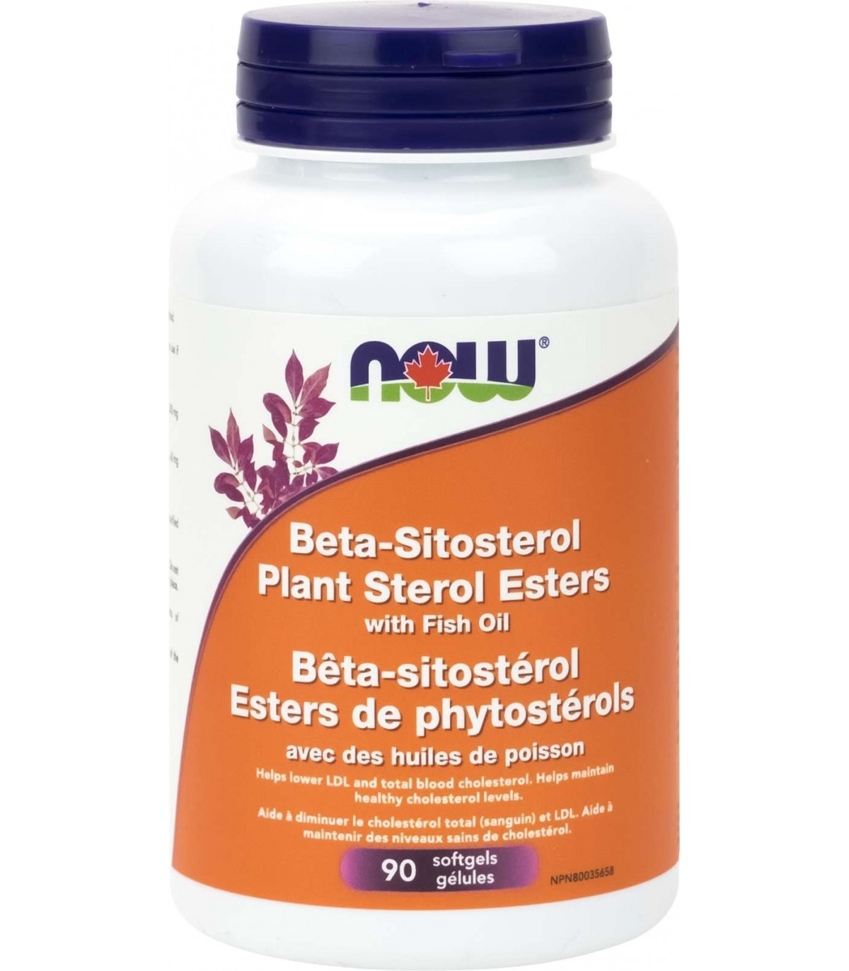 NOW Foods Beta-Sitosterol Plant Sterol Esters with Fish Oil, 90 Softgels | 每天不同折扣, 全网最低价格 | 种类齐全的保健品店铺 VITASHOP, 只有你想不到, 没有你买不到