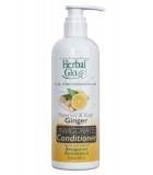 Herbal Glo Ginger Invigorate Conditioner 250 ml | Unbeatable Prices, Daily Deals | VITASHOP