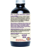 Organic Elderberry Syrup For Kids 236 ml | Safest & Easiest Shopping Vitamins Online | VITASHOP