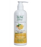 Ginger Invigorate Shampoo 250 ml | Safest & Easiest Shopping Vitamins Online | VITASHOP