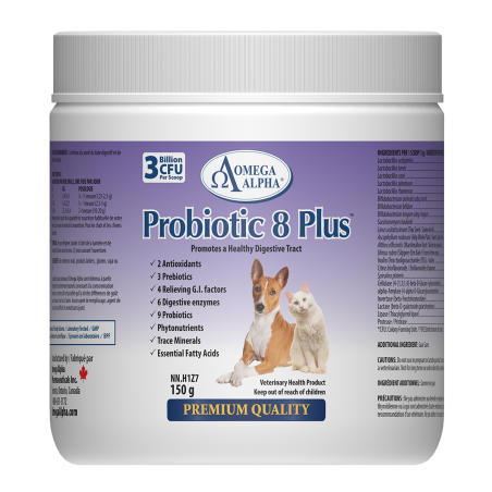Probiotic 8 Plus 150 g | Safest & Easiest Shopping Vitamins Online | VITASHOP