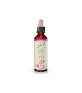 Bach Flower Willow 20 ml | Unbeatable Prices, Daily Deals | VITASHOP