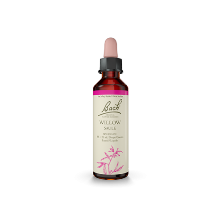Willow 20 ml | Safest & Easiest Shopping Vitamins Online | VITASHOP