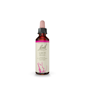 Bach Flower Larch 20 ml | Unbeatable Prices, Daily Deals | VITASHOP