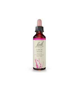 Larch 20 ml | Safest & Easiest Shopping Vitamins Online | VITASHOP