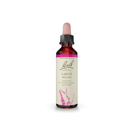 Bach Flower 바흐 플라워 낙엽송 20ml | 매일 업데이트되는 특가 상품 | VITASHOP