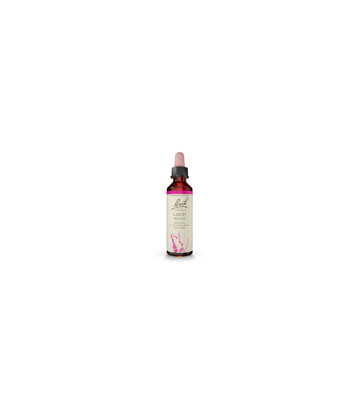 Bach Flower 바흐 플라워 낙엽송 20ml | 매일 업데이트되는 특가 상품 | VITASHOP