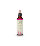 Bach Flower 바흐 플라워 낙엽송 20ml | 매일 업데이트되는 특가 상품 | VITASHOP