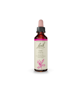 Bach Flower Oak 20 ml | Unbeatable Prices, Daily Deals | VITASHOP
