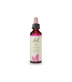 Pine 20 ml | Safest & Easiest Shopping Vitamins Online | VITASHOP