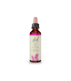 Bach Flower 바흐 플라워 파인 20ml | 매일 업데이트되는 특가 상품 | VITASHOP