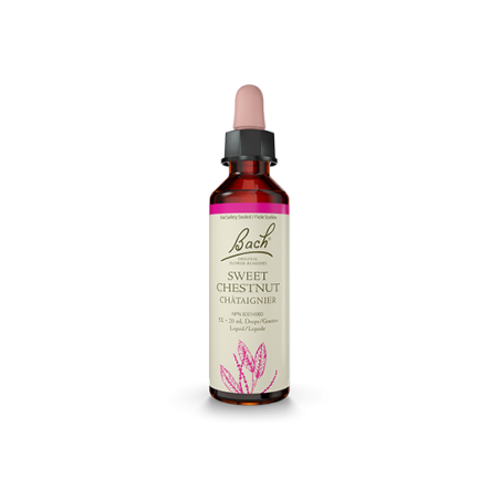 Bach Flower 바흐 플라워 스위트 체스트넛 20ml | 매일 업데이트되는 특가 상품 | VITASHOP
