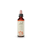 Aspen 20 ml | Safest & Easiest Shopping Vitamins Online | VITASHOP