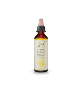 Bach Flower Cerato 20 ml | Unbeatable Prices, Daily Deals | VITASHOP