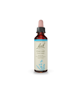 Chicory 20 ml | Safest & Easiest Shopping Vitamins Online | VITASHOP