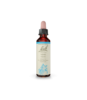 Vine 20 ml | Safest & Easiest Shopping Vitamins Online | VITASHOP