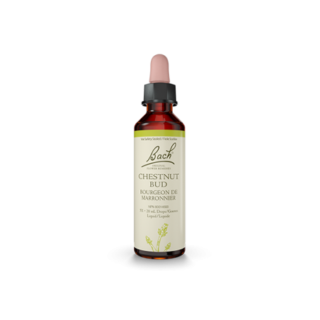 Bach Flower 바흐 플라워 체스트넛 버드 20ml | 매일 업데이트되는 특가 상품 | VITASHOP