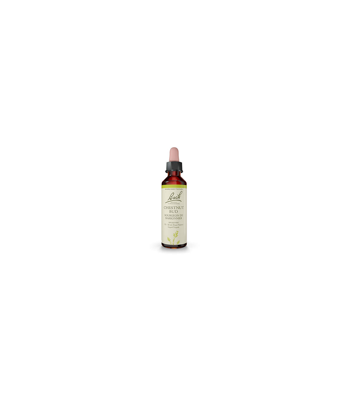 Bach Flower 바흐 플라워 체스트넛 버드 20ml | 매일 업데이트되는 특가 상품 | VITASHOP