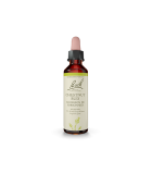 Bach Flower 바흐 플라워 체스트넛 버드 20ml | 매일 업데이트되는 특가 상품 | VITASHOP