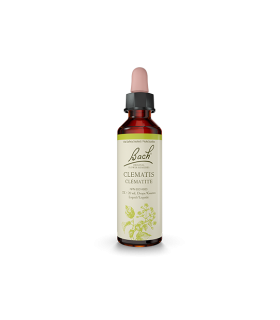 Bach Flower Clematis 20 ml | Unbeatable Prices, Daily Deals | VITASHOP