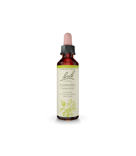 Clematis 20 ml | Safest & Easiest Shopping Vitamins Online | VITASHOP