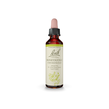 Bach Flower Honeysuckle 20 ml | Unbeatable Prices, Daily Deals | VITASHOP