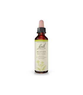 Bach Flower Mustard 20 ml | Unbeatable Prices, Daily Deals | VITASHOP