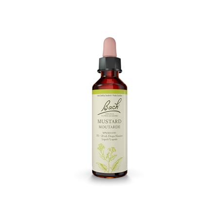 Bach Flower Mustard 20 ml | Unbeatable Prices, Daily Deals | VITASHOP