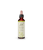 Bach Flower Mustard 20 ml | Unbeatable Prices, Daily Deals | VITASHOP