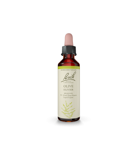 Bach Flower Olive 20 ml | Unbeatable Prices, Daily Deals | VITASHOP