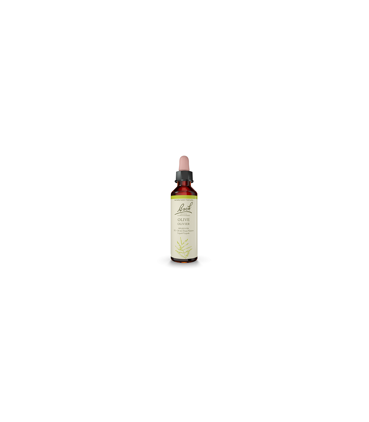 Olive 20 ml | Safest & Easiest Shopping Vitamins Online | VITASHOP