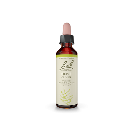 Olive 20 ml | Safest & Easiest Shopping Vitamins Online | VITASHOP