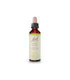 Olive 20 ml | Safest & Easiest Shopping Vitamins Online | VITASHOP