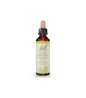 White Chestnut 20 ml | Safest & Easiest Shopping Vitamins Online | VITASHOP