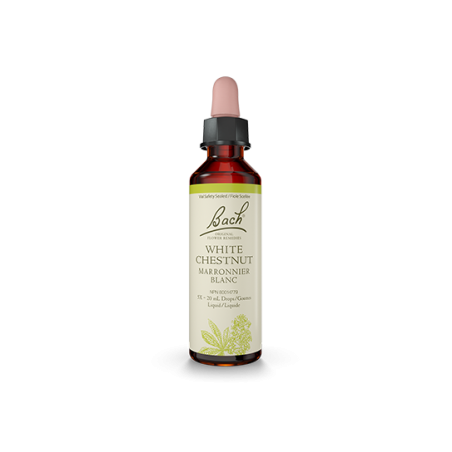 Bach Flower 바흐 플라워 화이트 체스트넛 20ml | 매일 업데이트되는 특가 상품 | VITASHOP