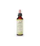 Bach Flower 바흐 플라워 화이트 체스트넛 20ml | 매일 업데이트되는 특가 상품 | VITASHOP