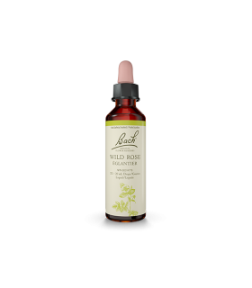 Bach Flower 바흐 플라워 Wild Rose 20ml | 매일 업데이트되는 특가 상품 | VITASHOP