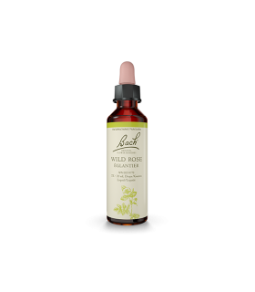 Wild Rose 20 ml | Safest & Easiest Shopping Vitamins Online | VITASHOP
