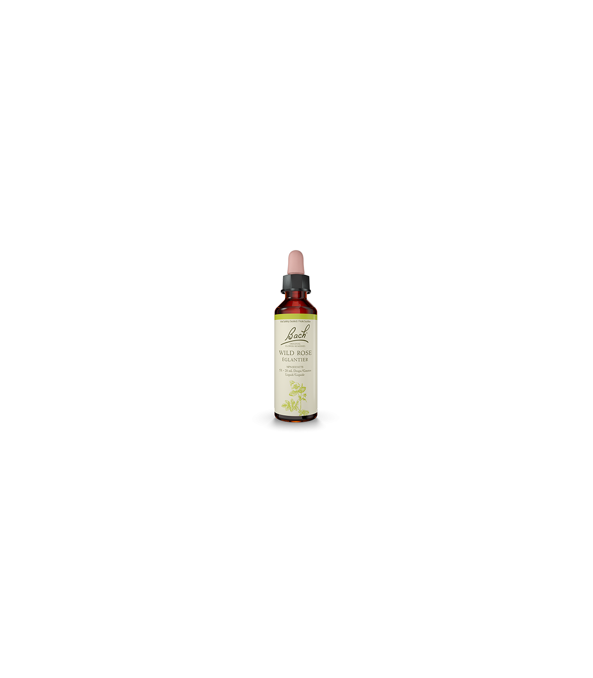 Bach Flower Wild Rose 20 ml | Unbeatable Prices, Daily Deals | VITASHOP