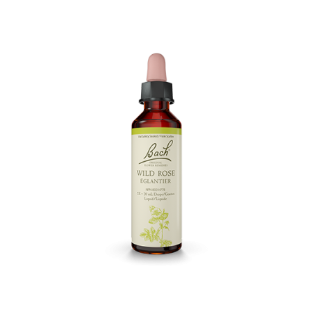 Bach Flower Wild Rose 20 ml | Unbeatable Prices, Daily Deals | VITASHOP