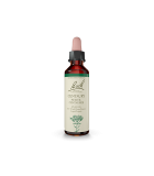 Bach Flower Centaury 20 ml | Unbeatable Prices, Daily Deals | VITASHOP