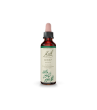 Bach Flower 바흐 플라워 홀리 20ml | 매일 업데이트되는 특가 상품 | VITASHOP