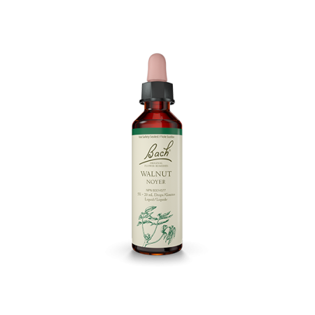 Bach Flower Walnut 20 ml | Unbeatable Prices, Daily Deals | VITASHOP