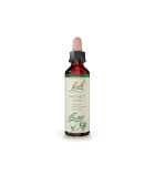 Bach Flower Walnut 20 ml | Unbeatable Prices, Daily Deals | VITASHOP