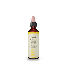 Gorse 20 ml | Safest & Easiest Shopping Vitamins Online | VITASHOP