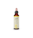 Gorse 20 ml | Safest & Easiest Shopping Vitamins Online | VITASHOP