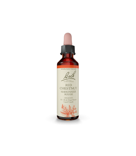 Bach Flower 바흐 플라워 적밤 20ml | 매일 업데이트되는 특가 상품 | VITASHOP