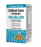 Critical Care Probiotic 100 milliards de cultures probiotiques vivantes, 30 capsules végétariennes | Safest & Easiest Shopping V