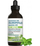 Chlorophyll Conc.15X Unflavored 100 ml | Safest & Easiest Shopping Vitamins Online | VITASHOP